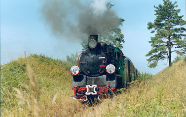 na środku zdjęcia lokomotywa z buchającym dymem z komina, po bokach ż&oacute;łto-zielone trawy, w oddali drzewo