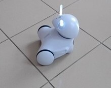 kodowanie w Sypitkach (4)