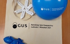 spis powszechny (2)