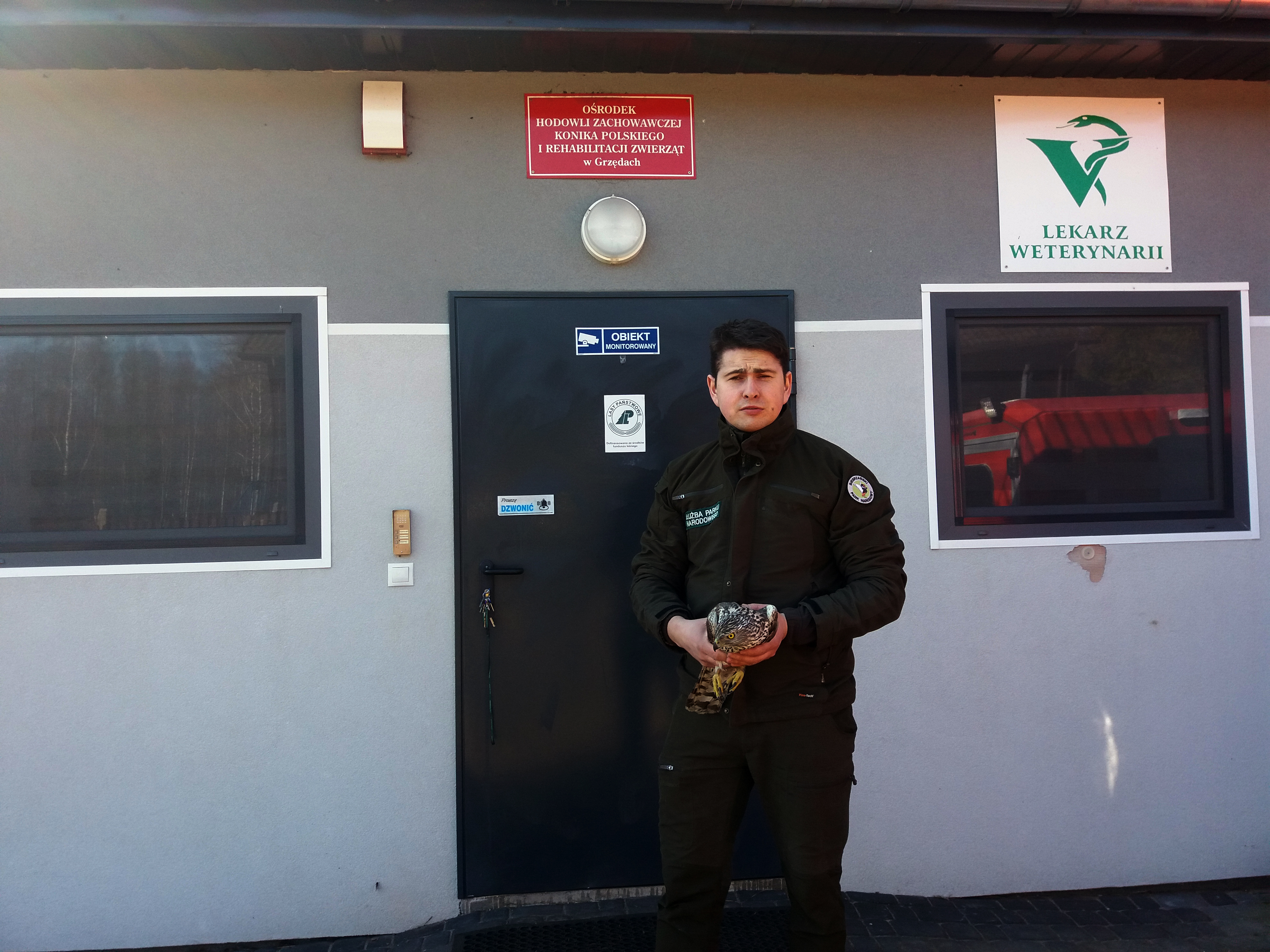 mężczyzna trzymający rannego ptaka