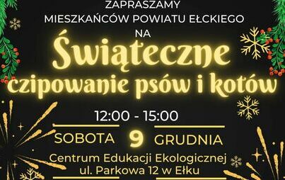 Zdjęcie do Bezpłatne chipowanie ps&oacute;w i kot&oacute;w
