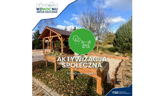 grafika do publikacji Aktywizacja społeczna